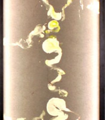 abstraktion 2009, mischtechnik, 160 x 52 x 7 cm Lichtbild - Kopie