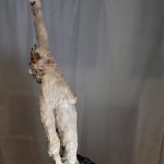 Plastik Gips Mixd-MediaCAMERA